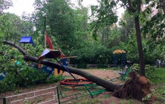 В России прокуратура обвинила метеорологов в неточных прогнозах