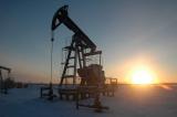 США сократили импорт нефти из стран ОПЕК на 40%