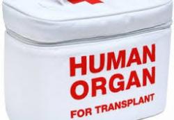 Changes to the law on organ donation