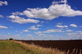 Нардепи відмовились скасувати продовження мораторію на продаж землі
