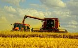 У державному аграрному гіганті почалися кадрові чистки