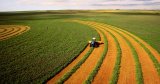 Большинство украинцев против открытия рынка земли - опрос