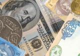 Foreign exchange market indicators as at April 20, 2016