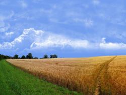 How to provide indexing for the normative monetary land valuation in 2014?
