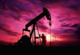 Цена на нефть поднялась выше $46