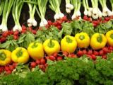 This Year, Consumption of Organic Products in Ukraine Can Reach 25 Mln Euros &ndash; Ministry of Agrarian Policy