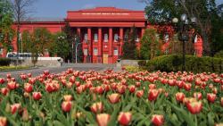 Taras Shevchenko University has ranked the best in Ukraine according to Scopus