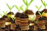 Иностранные инвестиции в Украину выросли на 17%