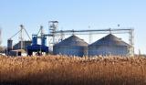 Российский инвестор намерен построить зерновые терминалы в Акмолинской области