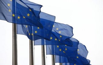 Евросоюз торопит Киев с аудиторской реформой