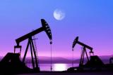 Нефть перешла к росту, Brent торгуется выше 50 долларов