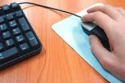 Government approves action plan to set up a Uniform Administrative Services Portal