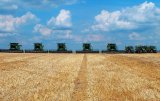 Агрохолдинги сконцентрировали треть сельхозземель в Украине