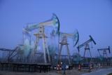 ОПЕК зберегла прогноз зростання споживання нафти в 2014-2015 рр.