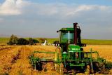 Spending on agriculture in Ukraine increased by 2,4% in May