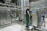 Найбільші пивні компанії об&rsquo;єднають бізнес в Україні та Росії