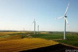 Депутати запропонували урізати &laquo;зелені&raquo; тарифи Ахметову