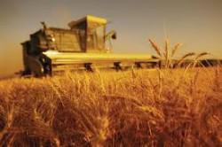 In 2013 the budget received 47 billion UAH from the agricultural sector