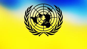 ООН увеличит программу гумпомощи Украине до $316 млн