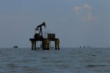 Новак назвал долю РФ в общем увеличении добычи нефти стран ОПЕК+