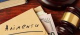 Выплаты долгов по алиментам выросли вдвое - Минюст