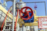Уряд повернувся до фінансування &laquo;Нафтогазу&raquo; з державного бюджету, - експерт Герус