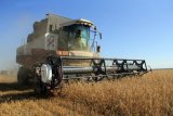 Новий урожай в Україні б&rsquo;є рекорди