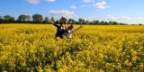 Рада залишила трейдерів без відшкодування експортного ПДВ на олійні