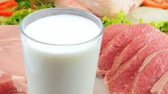 Україна за 7 місяців експортувала продуктів харчування на 45 млрд гривень
