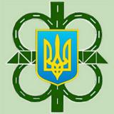 &laquo;Укравтодор&raquo; встановить обмежувачі швидкості на в&rsquo;їзді в населені пункти
