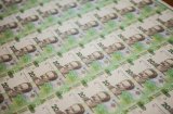 НБУ выпустил в обращение новую банкноту
