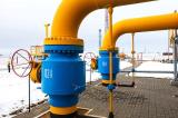 Ukraine has succeeded in saving around $500 million owing to reverse gas flows