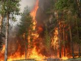 В кількох місцях загоряння в Чорнобилі зафіксовано підвищений рівень радіоактивного фону