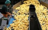 EU Approves Sales Quotas for Ukraine