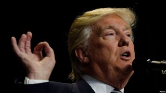 Чутки про Трампа покращили життя акул