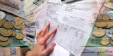 Монетизация субсидий: Минфин и ОСМД нашли компромисс