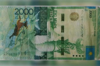 Фальшивомонетчики Казахстана подделали купюры на 7,9 млн тенге