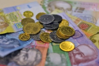 Наслідки мінімалки 3200: кількість спрощенців і найманих працівників зросла на 2 відсотки