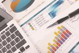 Foreign exchange market indicators as at January 13, 2017