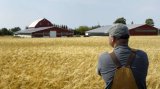 НАБУ разоблачило коррупционные схемы в агросекторе на 2 миллиарда гривен