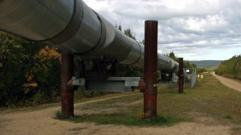 Украина существенно сократила зарубежные закупки газа