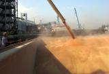 З початку липня експортовано понад 1,5 млн. т зерна