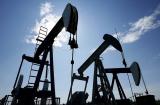 Нефть резко подешевела на фоне роста экспорта из Ирака
