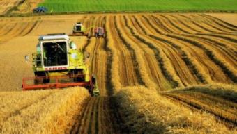 Alexei Pavlenko: Ukraine and Saudi Arabia to Discuss Possible Directions of Investment Cooperation in Agricultural Sector