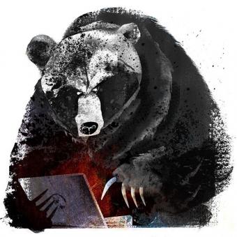 Німецькі політики: хакери з Росії можуть загрожувати виборам в Німеччині