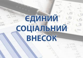 Южаніна розповіла, чи буде підвищення ЕСВ в Україні