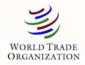 WTO names new director-general