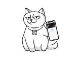 Monobank запустил Apple Pay
