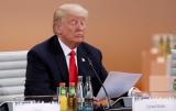 Москва: Трамп не из простого десятка