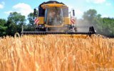 Кабмін запропонував провести всеукраїнську оцінку сільгоспземель